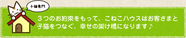 3つのお約束をもって、こねこハウスはお客様と子猫をつなぐ、幸せの架け橋になります