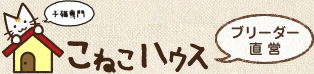 マンチカン専門　ブリーダー直営のこねこハウス