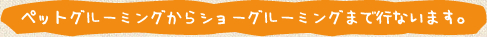 ペットグルーミングからショーグルーミングまで行います。