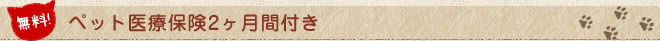 ペット医療保険2ヶ月間付き
