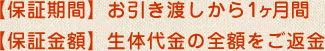 【保証期間】お引き渡しから1ヶ月間・【保証金額】生体代金の金額をご返金