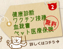 健康診断、ワクチン接種、血統書、ペット医療保険