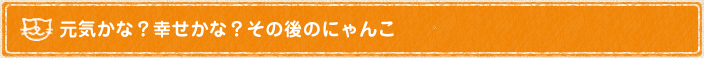 元気かな？幸せかな？その後のにゃんこ