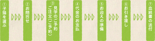 流れイメージ