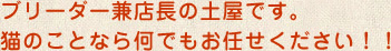 ブリーダー兼店長の土屋です。猫のことなら何でもお任せください